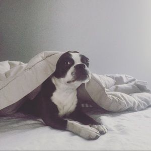 Meet your Posher, Gillian